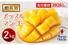 【贈答用】【先行受付・2026発送】ママチチマンゴーファームの贈答用アップルマンゴー約2kg - 先行予約 沖縄県産 産地直送 南国フルーツ 旬の味覚 旬のフルーツ 贈り物 ギフト 沖縄県 八重瀬町