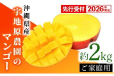【先行受付】【2026年発送】宇地原農園の沖縄県産 家庭用マンゴー約2kg - 先行予約 沖縄県産 産地直送 南国フルーツ 旬の味覚 季節の果物 ご自宅用 アップルマンゴー 沖縄県 八重瀬町
