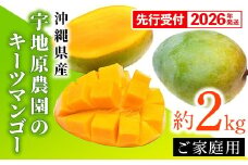【先行受付】【2026年発送】宇地原農園の沖縄県産 家庭用キーツマンゴー約2kg - 先行予約 沖縄県産 産地直送 南国フルーツ 旬の味覚 季節の果物 ご自宅用 希少種 沖縄県 八重瀬町