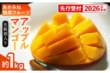 【化粧箱入】【先行受付・2026年発送】あかみね熱帯フルーツのアップルマンゴー約1kg - 先行予約 沖縄県産 産地直送 南国フルーツ 旬の味覚 季節の果物 贈り物 ギフト 沖縄県 八重瀬町