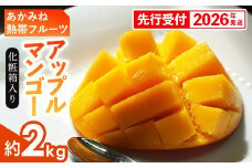 【化粧箱入】【先行受付・2026年発送】あかみね熱帯フルーツのアップルマンゴー約2kg - 先行予約 沖縄県産 産地直送 南国フルーツ 旬の味覚 季節の果物 贈り物 ギフト 沖縄県 八重瀬町