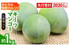 【化粧箱入】【先行受付・2026年発送】あかみね熱帯フルーツのキーツマンゴー約1kg - 先行予約 沖縄県産 産地直送 南国フルーツ 旬の味覚 季節の果物 希少種 化粧箱 ギフト 沖縄県 八重瀬町
