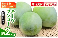 【化粧箱入】【先行受付・2026年発送】あかみね熱帯フルーツのキーツマンゴー約2kg - 先行予約 沖縄県産 産地直送 南国フルーツ 旬の味覚 季節の果物 希少種 化粧箱 ギフト 沖縄県 八重瀬町