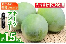 【化粧箱入】【先行受付・2026年発送】あかみね熱帯フルーツのキーツマンゴー約1.5kg - 先行予約 沖縄県産 産地直送 南国フルーツ 旬の味覚 季節の果物 希少種 化粧箱 ギフト 沖縄県 八重瀬町
