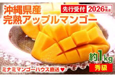 【先行受付】【2026年発送】ミナミマンゴーハウスの完熟アップルマンゴー【秀】約1kg（2～3玉）- 先行予約 沖縄県産 産地直送 南国フルーツ 旬の味覚 旬のフルーツ 贈り物 ギフト 沖縄県 八重瀬町