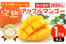 【先行受付】【2026年発送】しらかわファームのアップルマンゴー 秀 約1kg - 先行予約 沖縄 産地直送 南国フルーツ 旬の味覚 旬のフルーツ 贈り物 ギフト 沖縄県 八重瀬町