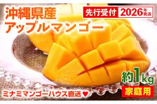 【先行受付】【2026年発送】ミナミマンゴーハウスのアップルマンゴー 家庭用 約1kg（2～4玉）- 先行予約 沖縄県産 産地直送 南国フルーツ 旬の味覚 ご自宅用 オススメ 沖縄県 八重瀬町