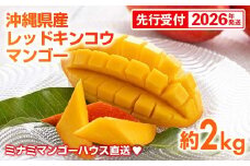 【先行受付】【2026年発送】ミナミマンゴーハウスの赤金煌(レッドキンコウ）マンゴー約2kg - 先行予約 沖縄県産 産地直送 南国フルーツ 旬の味覚 希少種 希少栽培 オススメ 沖縄県 八重瀬町