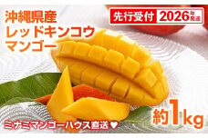 【先行受付】【2026年発送】ミナミマンゴーハウスの赤金煌(レッドキンコウ）マンゴー約1kg - 先行予約 沖縄県産 産地直送 南国フルーツ 旬の味覚 希少種 希少栽培 オススメ 沖縄県 八重瀬町