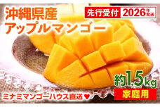 【先行受付】【2026年発送】ミナミマンゴーハウスのアップルマンゴー 家庭用 約1.5kg- 先行予約 沖縄県産 産地直送 南国フルーツ 旬の味覚 ご自宅用 オススメ 沖縄県 八重瀬町