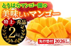 【化粧箱入】【先行受付・2026年発送】とうはらマンゴー園の美味しいマンゴー秀品（特上）約2kg - 先行予約 沖縄県産 産地直送 南国フルーツ 旬の味覚 旬のフルーツ 贈り物 ギフト 沖縄県 八重瀬町