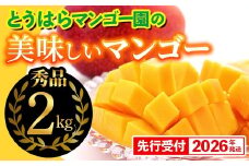 【化粧箱入】【先行受付・2026年発送】とうはらマンゴー園の美味しいマンゴー秀品 約2kg - 先行予約 沖縄 産地直送 南国フルーツ 旬の味覚 旬のフルーツ 贈り物 ギフト 沖縄県 八重瀬町