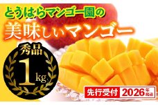 【化粧箱入】【先行受付・2026年発送】とうはらマンゴー園の美味しいマンゴー秀品 約1kg - 先行予約 沖縄 産地直送 南国フルーツ 旬の味覚 旬のフルーツ 贈り物 ギフト 沖縄県 八重瀬町