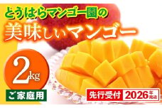 【先行受付】【2026年発送】とうはらマンゴー園の美味しいマンゴー家庭用 約2kg - 先行予約 沖縄 産地直送 南国フルーツ 旬の味覚 家庭用 ご自宅用 2キロ オススメ 沖縄県 八重瀬町