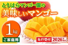【先行受付】【2026年発送】とうはらマンゴー園の美味しいマンゴー家庭用 約1kg - 先行予約 沖縄 産地直送 南国フルーツ 旬の味覚 家庭用 ご自宅用 1キロ オススメ 沖縄県 八重瀬町