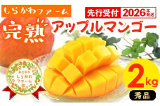 【先行受付】【2026年発送】しらかわファームのアップルマンゴー 秀 約2kg - 先行予約 沖縄 産地直送 南国フルーツ 旬の味覚 旬のフルーツ 贈り物 ギフト 沖縄県 八重瀬町
