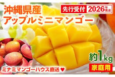 【先行受付】【2026年発送】ミナミマンゴーハウスのアップル ミニマンゴー約1kg【家庭用】- 先行予約 沖縄県産 産地直送 南国フルーツ 旬の味覚 アップルマンゴー ご自宅用 オススメ 沖縄県 八重瀬町