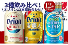 酒 ビール オリオン3種詰め合わせ・350ml（12本 × 1ケース )
