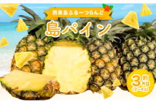 2025年 先行予約 島パイン (ハワイ種) 約3kg 2～4玉 パイナップルの王道 西表島産 パイン 果物 フルーツ
