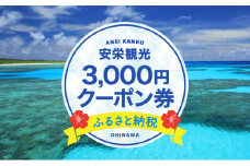 安栄観光 3,000円クーポン券