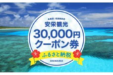 安栄観光 30,000円クーポン券
