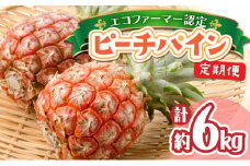 定期便 2ヶ月 絶品ピーチパイン 約3kg【E-SOU/Ｅ】 2025年 先行予約 西表島 初エコファーマー認定 パイン 果物 フルーツ 2回 お楽しみ　【036-a003】