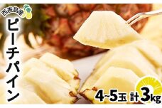 2025年 先行予約 ピーチパイン 約3kg 4～5玉 甘熟 西表島ふる～つらんど 不動の人気No.1 果物 フルーツ パイン