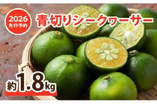 2026年 先行予約 青切り シークワーサー 約1.8kg ★西表島ふる～つらんど★ 果物 フルーツ