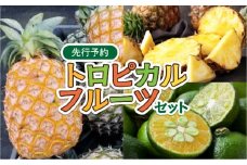 2026年 先行予約 トロピカルフルーツ セット パイン シークワーサー ☆西表島ふる～つらんど☆ 果物 フルーツ