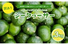 訳あり 2026年 先行予約 青切り シークヮサー 約3kg ☆西表島ふる～つらんど☆ 果物 フルーツ