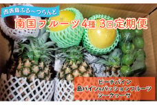 2025年 先行予約 定期便 3ヶ月 南国フルーツ 定期便A パイン シークワーサー 計4種類 果物 フルーツ 3回 お楽しみ