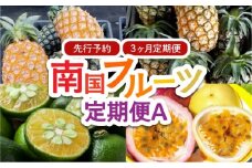 2026年 先行予約 定期便 3ヶ月 南国フルーツ 定期便A パイン シークワーサー 計4種類 果物 フルーツ 3回 お楽しみ