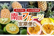 2025年 先行予約 定期便 5ヶ月 南国フルーツ 定期便C パイン シークワーサー パッションフルーツ 計4種類 果物 フルーツ 5回 お楽しみ