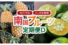 2025年 先行予約 定期便 3ヶ月 南国フルーツ 定期便D ピーチパイン 島パイン シークヮサー 計3種類 果物 フルーツ 3回 お楽しみ