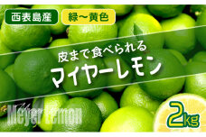 【2025年発送】まろやか多汁マイヤーレモン （島レモン）約2kg