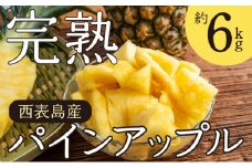 2025年 先行予約 完熟 パインアップル 約6kg 水鴨農園 パイン パイナップル 果物 フルーツ