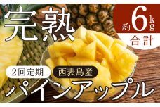 定期便 2ヶ月 2025年 先行予約 旬のパインアップル 約3kg 水鴨農園 2回 お楽しみ 果物 フルーツ