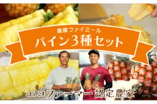 2025年 先行予約 食べ比べ セット 約5kg 5～8玉 農園ファイミール 完熟 パイン 果物 フルーツ