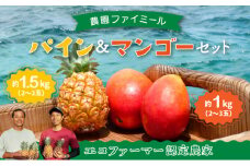 2025年 先行予約 セット パイン 約1.5kg マンゴー 約1kg 農園ファイミール 果物 フルーツ