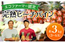 《2025年先行予約》ピーチパイン 約3kg 3～6玉 農園ファイミール 完熟 果物 フルーツ