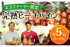 《2025年先行予約》ピーチパイン 約5kg 5～8玉 農園ファイミール 完熟 果物 フルーツ