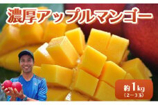 2025年 先行予約 アップルマンゴー 約1kg 2～3玉 セット 八重山マンゴー品評会総合1位を計3回獲得！高糖度保証！農園ファイミール 濃厚 果物 フルーツ