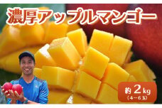 2025年 先行予約 アップルマンゴー 約2kg 4～6玉 セット 八重山マンゴー品評会総合1位を計3回獲得！高糖度保証！農園ファイミール 濃厚 果物 フルーツ