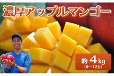 2025年 先行予約 アップルマンゴー 約4kg 8～12玉入り 八重山マンゴー品評会総合1位を計3回獲得！高糖度保証！農園ファイミール 濃厚 果物 フルーツ