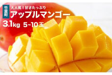 2025年 先行予約 アップルマンゴー 約3.1kg 5～10玉 西表島ひらい農園 マンゴー 果物 フルーツ