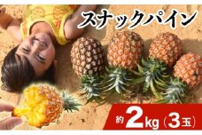 2026年 先行予約 スナックパイン 約2kg 3玉 西表島ひらい農園 パイナップル 果物 フルーツ パイン