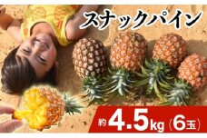 2026年 先行予約 スナックパイン 約4.5kg 6玉 西表島ひらい農園 パイナップル 果物 フルーツ パイン