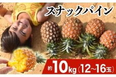 2026年 先行予約 スナックパイン 約10kg 12～16玉 西表島ひらい農園 パイナップル 果物 フルーツ パイン