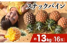 2026年 先行予約 スナックパイン 約13kg 16玉 西表島ひらい農園 パイナップル 果物 フルーツ パイン