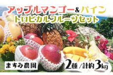 2025年 先行予約 パイン マンゴー セット トロピカルフルーツセット ますみ農園 果物